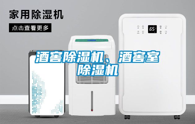 酒窖除濕機(jī)、酒窖室除濕機(jī)