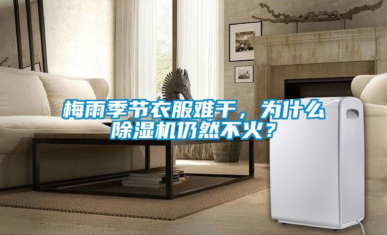 梅雨季節(jié)衣服難干，為什么除濕機(jī)仍然不火？