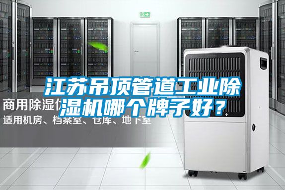 江蘇吊頂管道工業(yè)除濕機(jī)哪個牌子好？