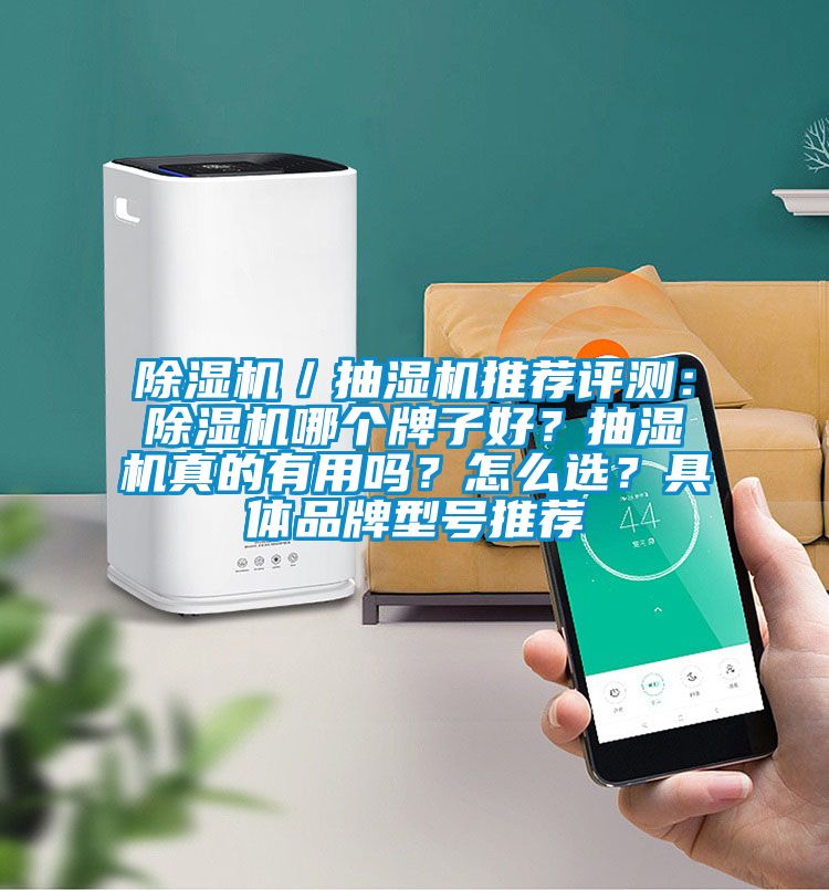 除濕機／抽濕機推薦評測：除濕機哪個牌子好？抽濕機真的有用嗎？怎么選？具體品牌型號推薦