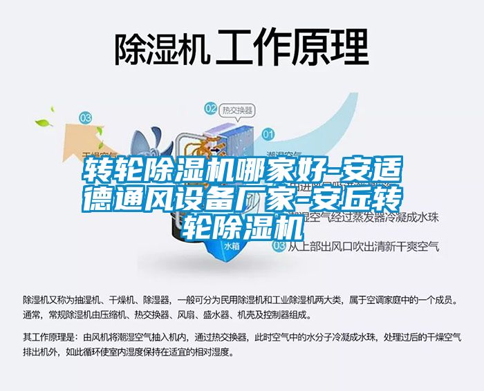 轉(zhuǎn)輪除濕機哪家好-安適德通風(fēng)設(shè)備廠家-安丘轉(zhuǎn)輪除濕機