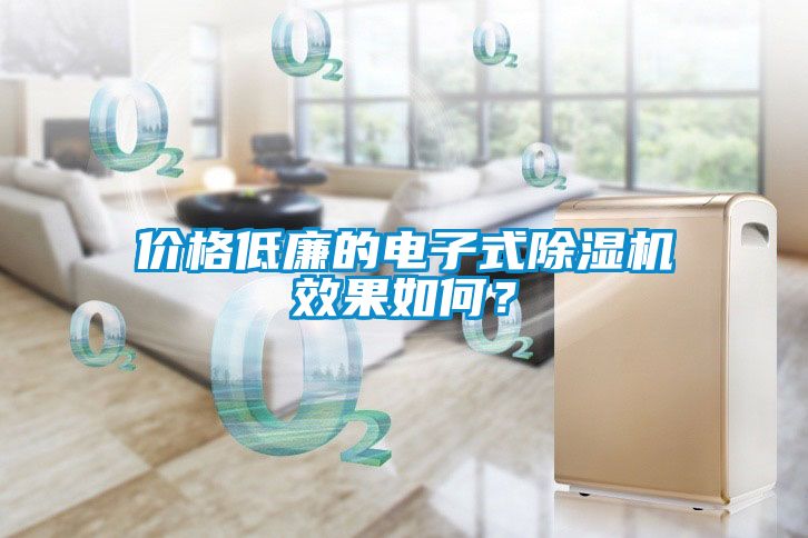 價(jià)格低廉的電子式除濕機(jī)效果如何？