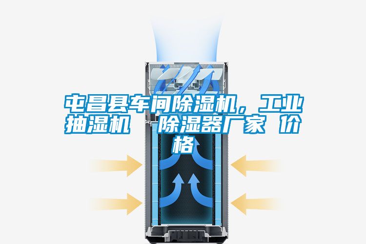 屯昌縣車間除濕機，工業(yè)抽濕機  除濕器廠家 價格