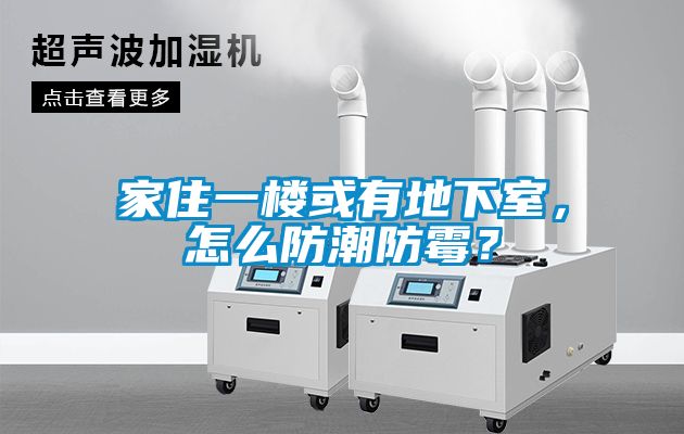 家住一樓或有地下室，怎么防潮防霉？