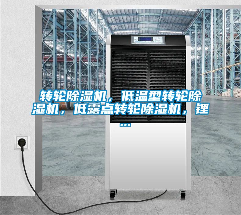 轉(zhuǎn)輪除濕機，低溫型轉(zhuǎn)輪除濕機，低露點轉(zhuǎn)輪除濕機，鋰 ...