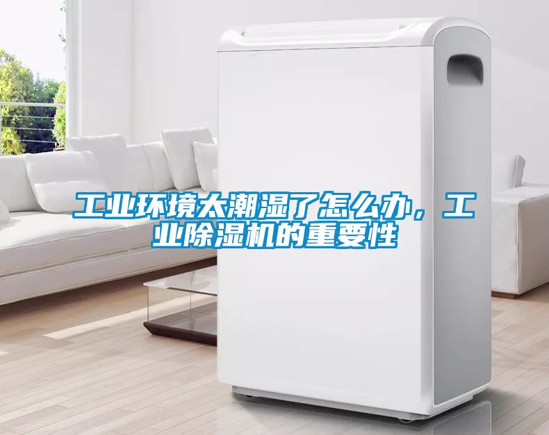 工業(yè)環(huán)境太潮濕了怎么辦，工業(yè)除濕機(jī)的重要性