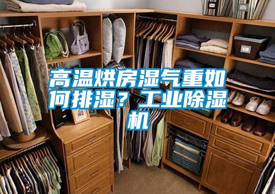 高溫烘房濕氣重如何排濕？工業(yè)除濕機(jī)