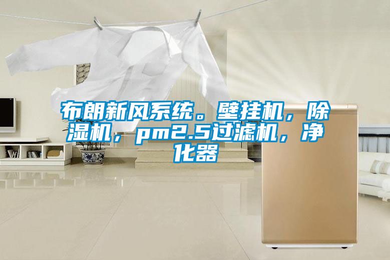 布朗新風(fēng)系統(tǒng)。壁掛機(jī)，除濕機(jī)，pm2.5過濾機(jī)，凈化器
