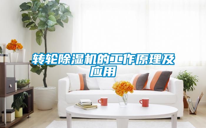 轉(zhuǎn)輪除濕機(jī)的工作原理及應(yīng)用