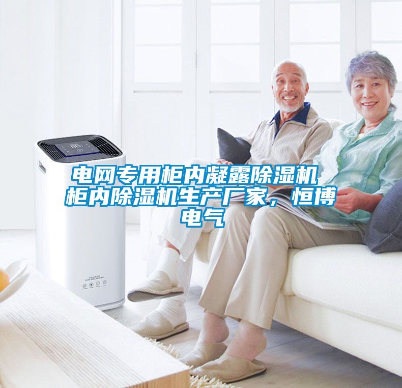 電網(wǎng)專用柜內(nèi)凝露除濕機(jī) 柜內(nèi)除濕機(jī)生產(chǎn)廠家，恒博電氣