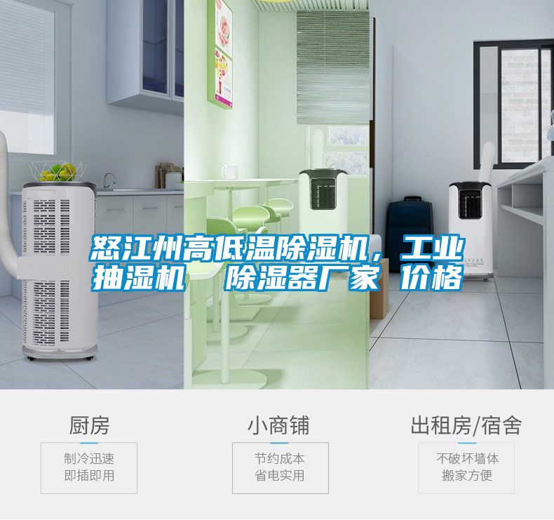 怒江州高低溫除濕機，工業(yè)抽濕機  除濕器廠家 價格