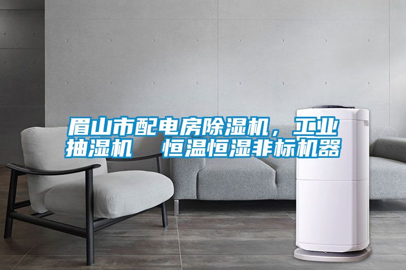 眉山市配電房除濕機，工業(yè)抽濕機  恒溫恒濕非標機器