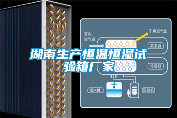 湖南生產(chǎn)恒溫恒濕試驗(yàn)箱廠(chǎng)家