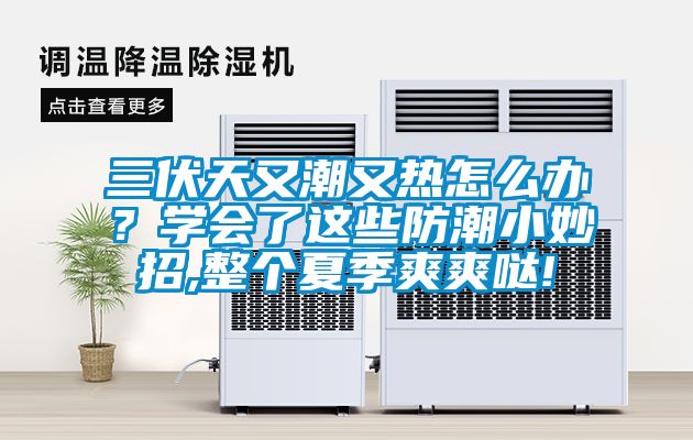 三伏天又潮又熱怎么辦？學(xué)會(huì)了這些防潮小妙招,整個(gè)夏季爽爽噠!