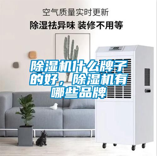 除濕機(jī)什么牌子的好，除濕機(jī)有哪些品牌