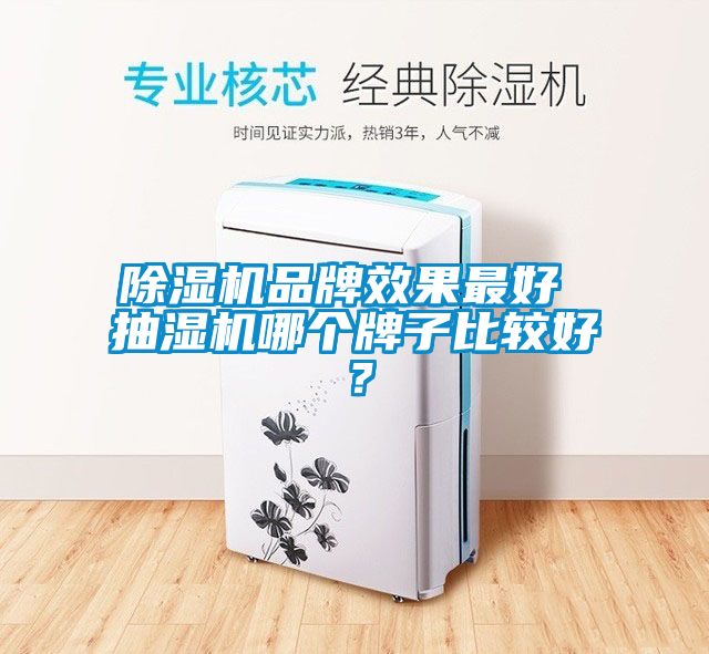 除濕機品牌效果最好 抽濕機哪個牌子比較好？