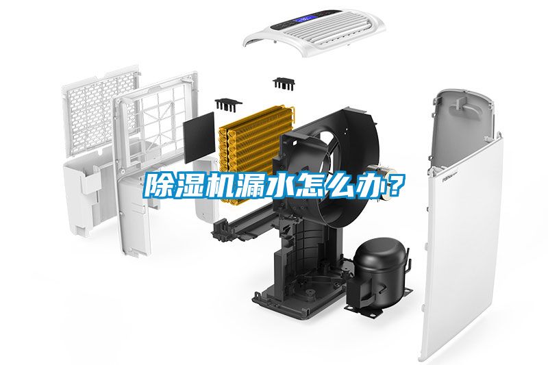 除濕機(jī)漏水怎么辦？