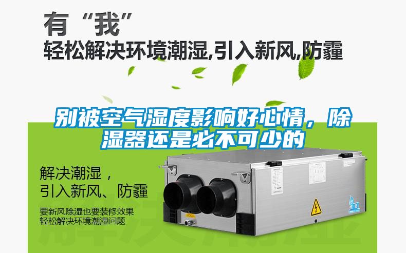 別被空氣濕度影響好心情，除濕器還是必不可少的