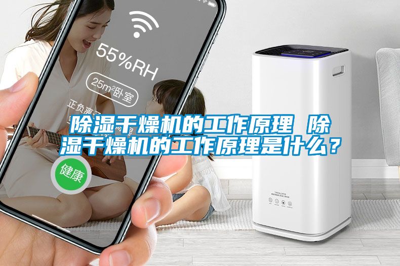 除濕干燥機(jī)的工作原理 除濕干燥機(jī)的工作原理是什么？