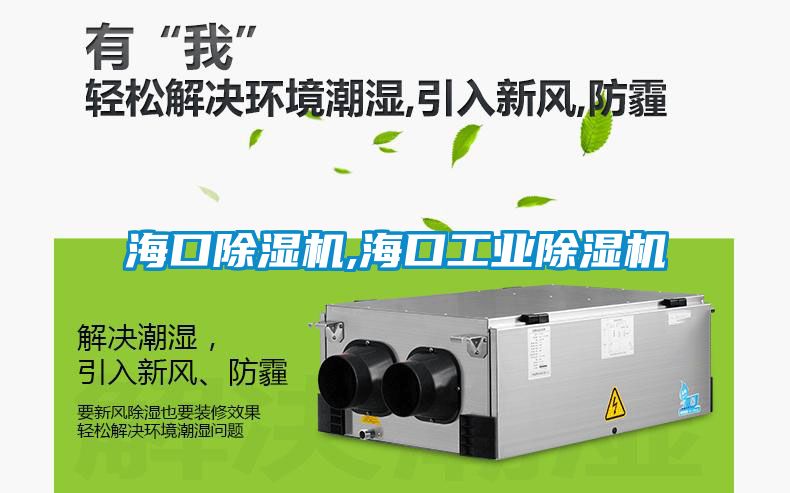 ?？诔凉駲C(jī),海口工業(yè)除濕機(jī)