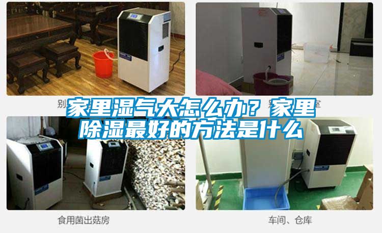 家里濕氣大怎么辦？家里除濕最好的方法是什么