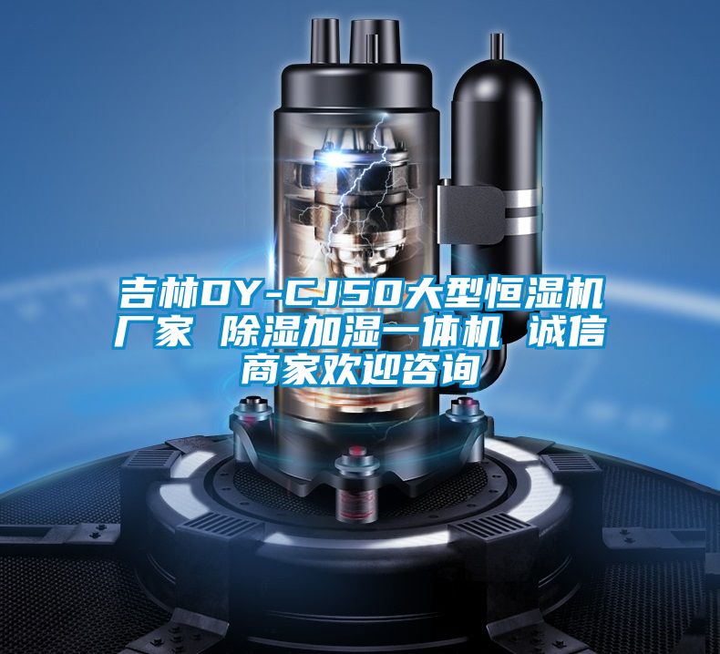 吉林DY-CJ50大型恒濕機(jī)廠家 除濕加濕一體機(jī) 誠(chéng)信商家歡迎咨詢