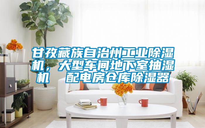 甘孜藏族自治州工業(yè)除濕機(jī)，大型車間地下室抽濕機(jī)  配電房倉庫除濕器