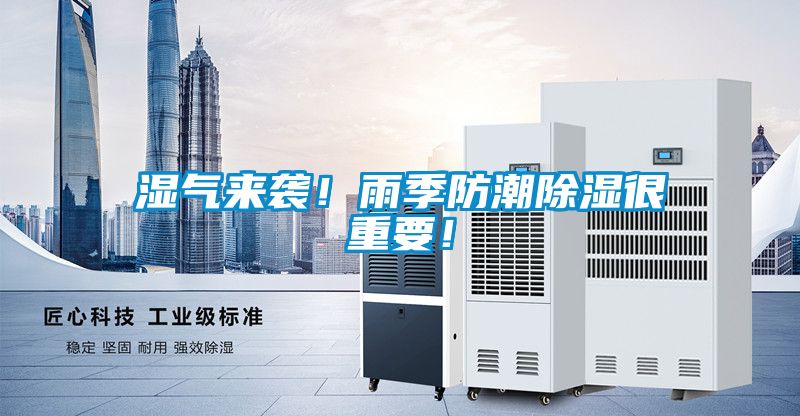 濕氣來襲！雨季防潮除濕很重要！