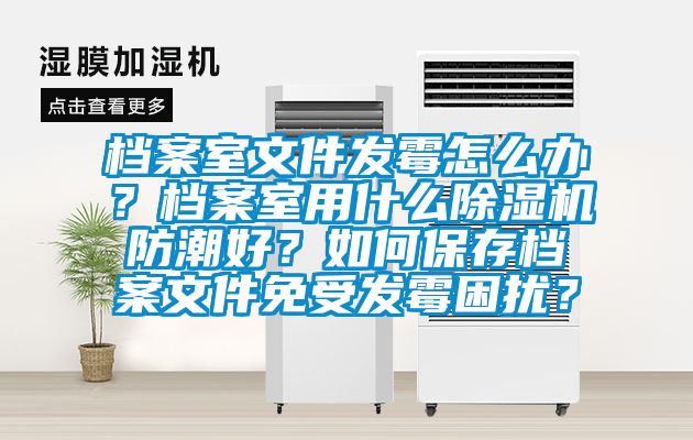 檔案室文件發(fā)霉怎么辦？檔案室用什么除濕機(jī)防潮好？如何保存檔案文件免受發(fā)霉困擾？
