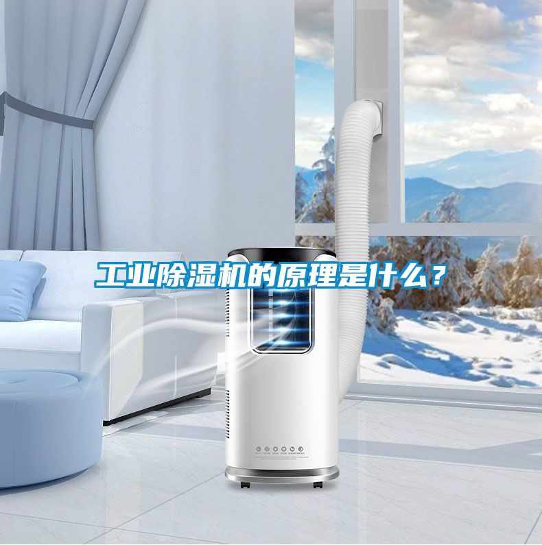工業(yè)除濕機(jī)的原理是什么？