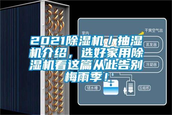 2021除濕機／抽濕機介紹，選好家用除濕機看這篇從此告別梅雨季！
