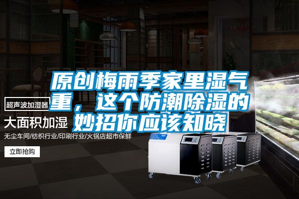 原創(chuàng)梅雨季家里濕氣重，這個防潮除濕的妙招你應(yīng)該知曉