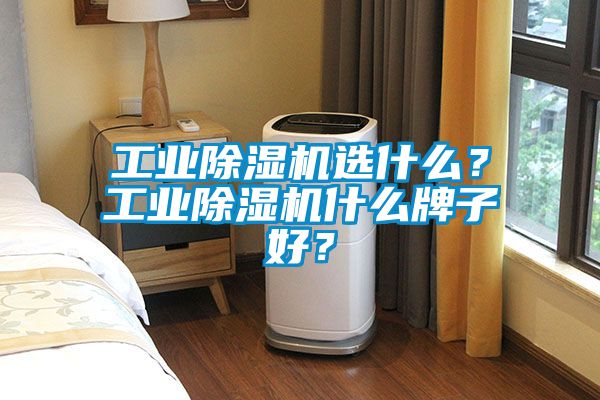 工業(yè)除濕機(jī)選什么？工業(yè)除濕機(jī)什么牌子好？