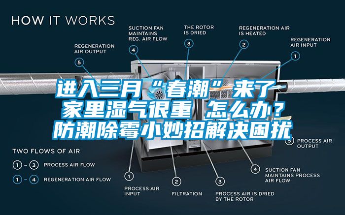 進(jìn)入三月“春潮”來了 家里濕氣很重 怎么辦？防潮除霉小妙招解決困擾