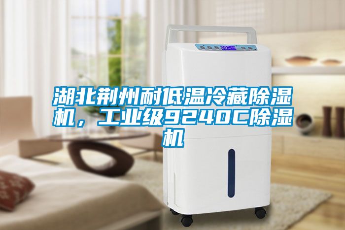 湖北荊州耐低溫冷藏除濕機(jī)，工業(yè)級9240C除濕機(jī)