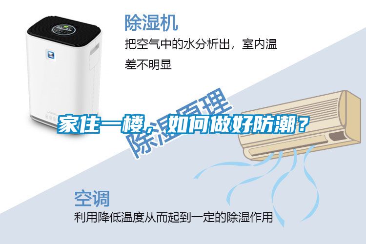 家住一樓，如何做好防潮？