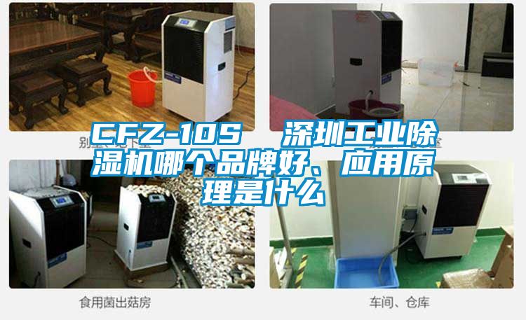 CFZ-10S  深圳工業(yè)除濕機(jī)哪個(gè)品牌好、應(yīng)用原理是什么