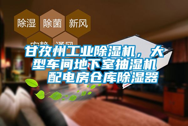 甘孜州工業(yè)除濕機(jī)，大型車間地下室抽濕機(jī)  配電房倉(cāng)庫(kù)除濕器