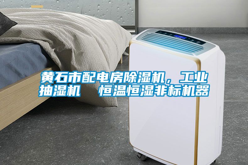 黃石市配電房除濕機，工業(yè)抽濕機  恒溫恒濕非標機器